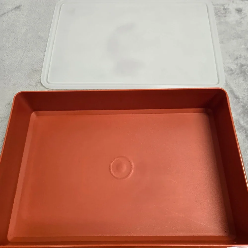 Tupperware Rectangular Storage Container Burnt Orange Rust with Translucent Lid